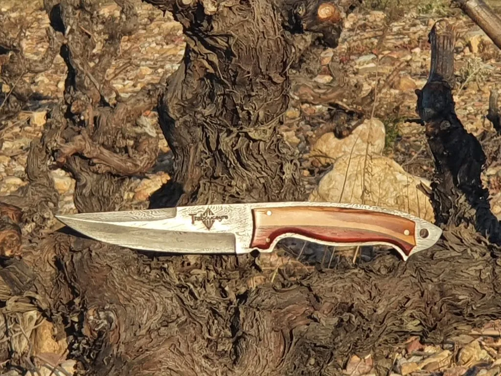Couteau fixe artisanal avec lame en acier damas et manche en bois exotique